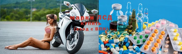 шишки Арсеньев