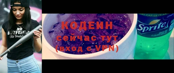 прущий лед Богданович