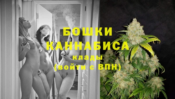 прущий лед Богданович