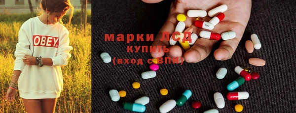 прущий лед Богданович