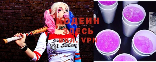 прущий лед Богданович