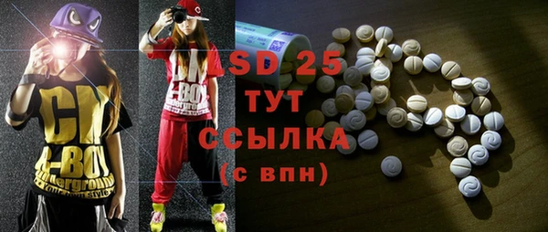 ешки Бородино